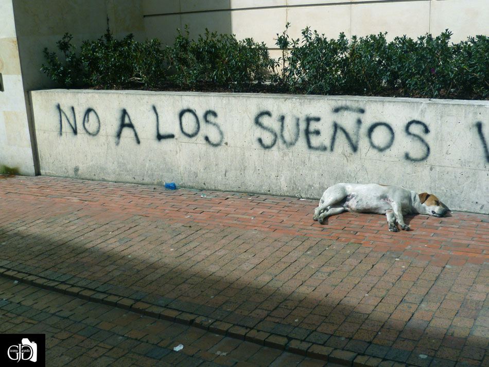 No a los Sueños